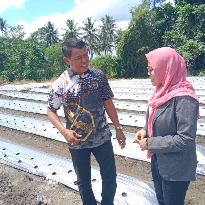 
 Program ketahanan pangan dengan memanfaatkan lahan tidur, menjadi program unggulan di desa Taman Agung