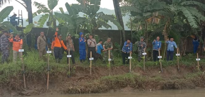 
 Rob Ancam Abrasi Bantaran Kali Ijo Ayah, Penanaman Pohon Mangrove Kembali Dikebut