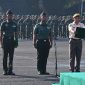 Sinergi dan solidaritas