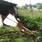 tanggul penahan tanah