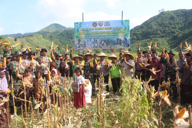 
 Wujudkan Han Pangan Nasional, Kodim Loteng Panen Jagung Bersama Di Selong Belanak