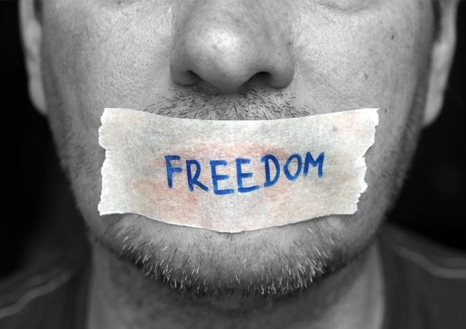 
 Pentingnya Kebebasan Berpendapat dan Berekspresi dalam Sistem Demokrasi di Indonesia