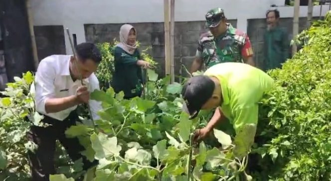 
 Wujudkan Kawasan Ramah Lingkungan, Babinsa Gadingrejo Bersama Dinas Pertanian Lakukan Pembersihan KRPL