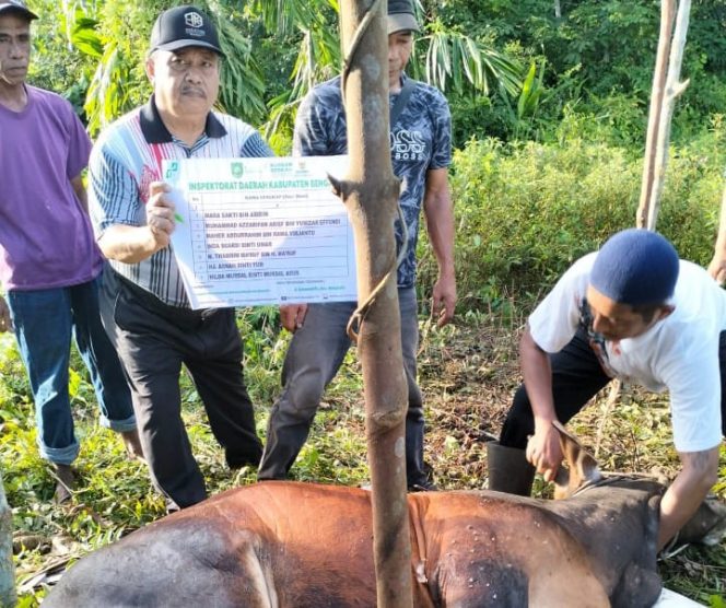 
 PWMOI Bengkalis Terima Sapi Kurban Dari Bupati Kasmarni