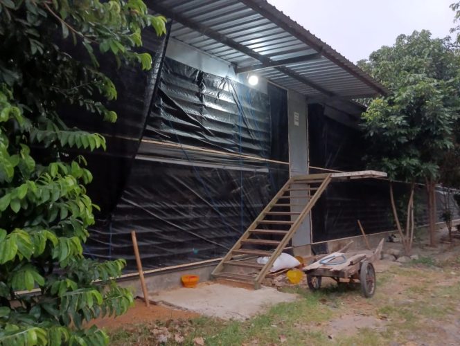 
 Kandang Ayam Dilingkungan Permukiman Penduduk di Desa Seliling Kecamatan Alian – Kebumen, Mengganggu Kenyamanan Warga