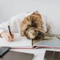 Burnout pada mahasiswa