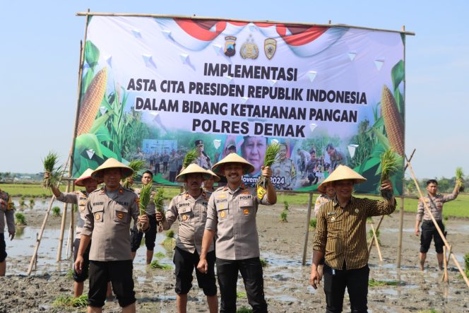 
 Polres Kabupaten Demak Tanam Padi Dalam Mendukung Asta Cita Presiden Republik Indonesia (RI) Bidang Ketahanan Pangan