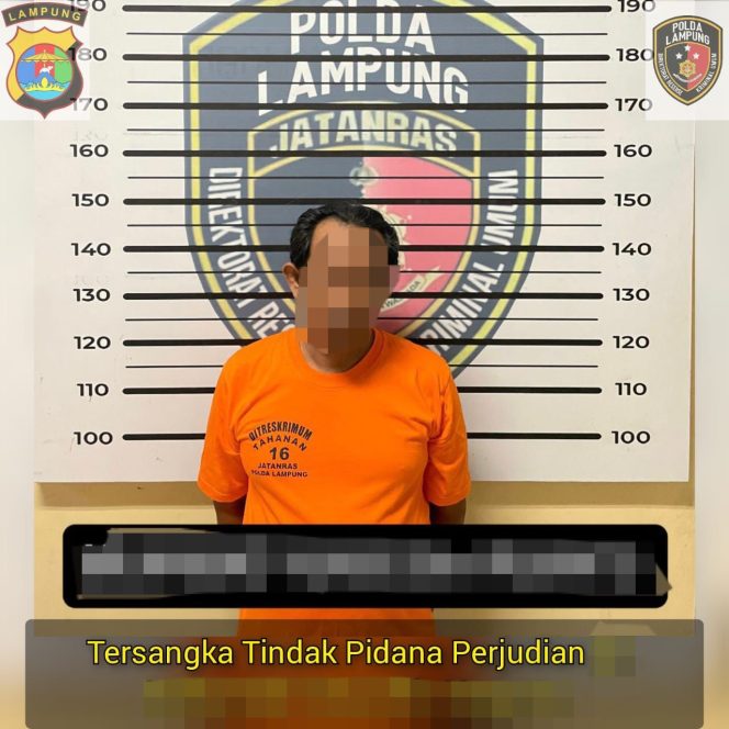 
 Jajakan Nomor Togel di Pasar, Bandar Judi Togel Ditangkap Ditreskrimum Polda Lampung