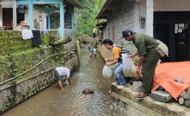 
 Upaya Dari Pelestarian Lingkungan Desa Talunombo Tebarkan Ribuan Bibit Ikan Di Sungai