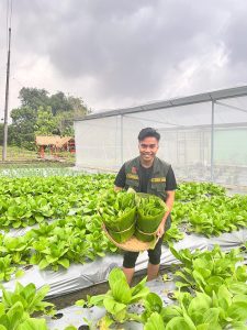Jabungan Ecofarm 