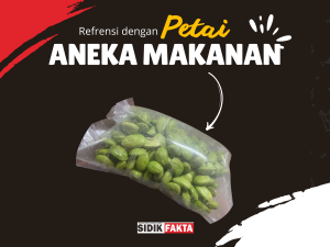 Aneka Olahan Petai