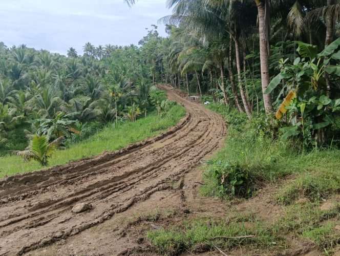 
 Maraknya Pemberitaan Tentang Pembangunan Infrastruktur Jalan, Kabid Jasamarga Kebumen Angkat Bicara