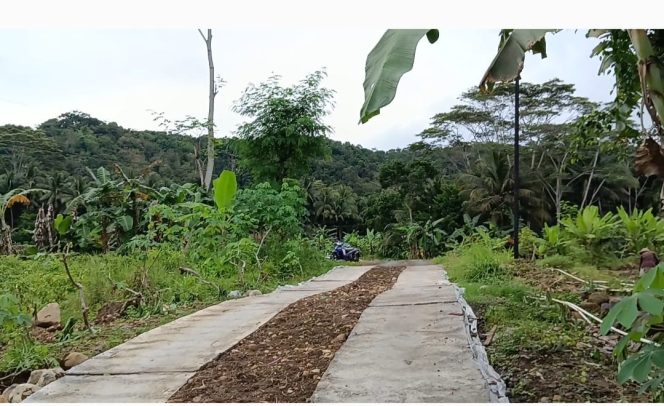 
 Perilaku Berulang! Proyek Perawatan Jalan Desa Karangtengah Kecamatan Poncowarno  Dikerjakan Asal Asalan
